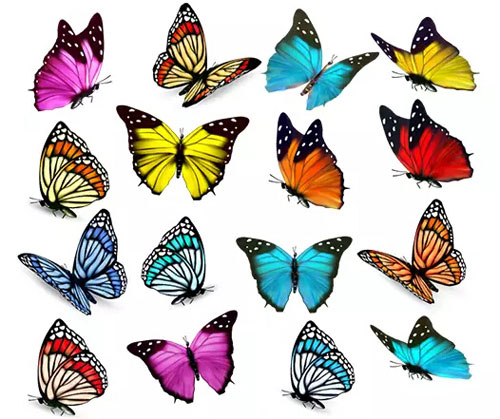 平面設計中的三大傳達要素