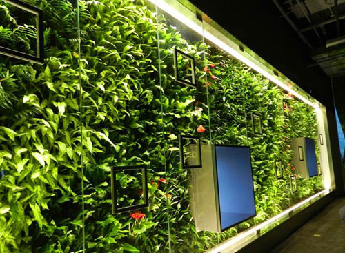 設計中國:建筑設計中的墻面綠化