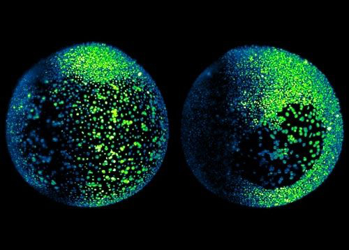 設(shè)計中國網(wǎng):平面設(shè)計中的“兩極”!