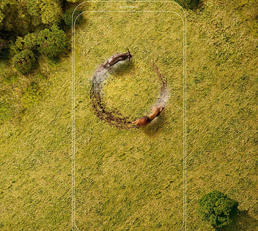 智能手機網(wǎng)絡創(chuàng)意海報設計