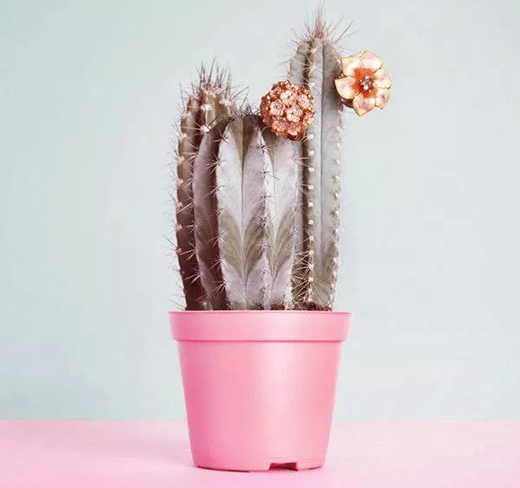 品牌設(shè)計的武器:色彩,帶你回顧2018年色彩!