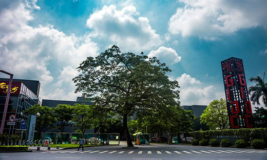 打造“設(shè)計順德”,為高質(zhì)量發(fā)展賦能