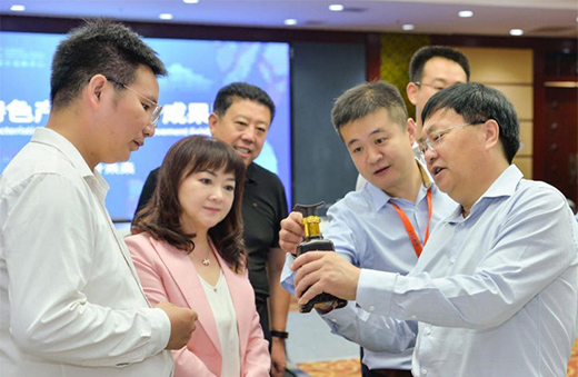 第三屆河北國際工業設計周定州分會場啟幕