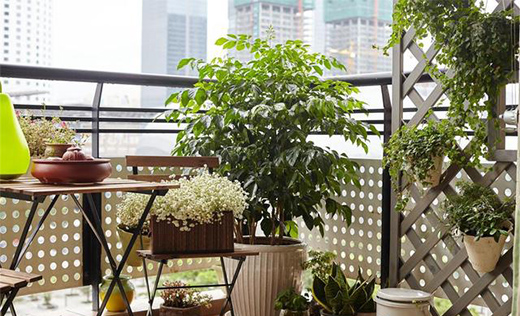 陽臺裝修不容小視?幾個細節要注意!