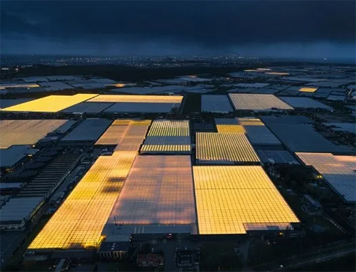 修復地球 | 綠色建筑與創新思維